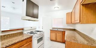 PS T 66369 Gallery 1