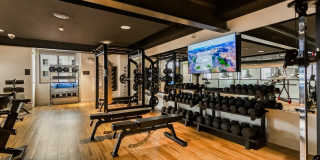 Markana Uptown Gallery 61