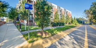 Windsor at Maxwell's Green Gallery 8