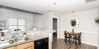 9 on Canal Gallery 25