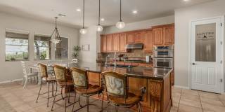 28484 N 92nd Place Gallery 19