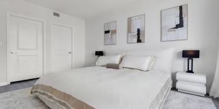 Wake Biscayne Bay Gallery 2