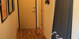 21 Orange Gallery 74