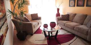 Lime Tree Village Gallery 17