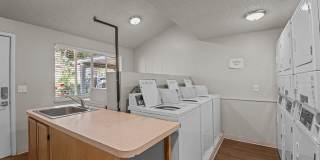 The Willows Gallery 12