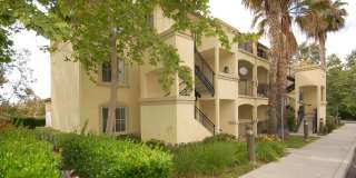 Sunny Creek Gallery 24