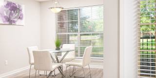 Windsor Lake Gallery 5