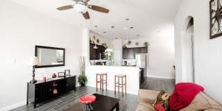 LUXURY TOWNHOME LOCATED IN BASTROP, TEXAS! Gallery 3