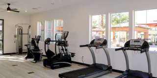 Altair Apartments Gallery 40