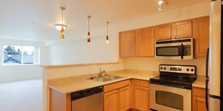 Forest Hills Forest Hills Gallery 4
