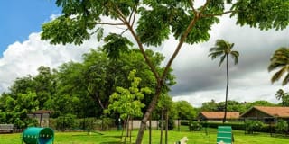 Kapilina Beach Homes Gallery 49