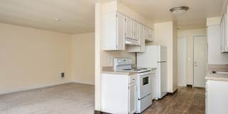 Forest Ridge Gallery 50
