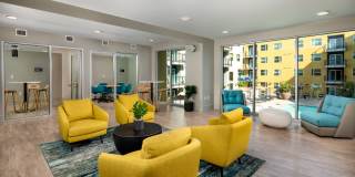 Aston at Gateway Gallery 11