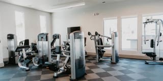 Tanager Tanager Gallery 23