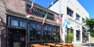 The Orion Apartment Homes Gallery 42