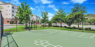 Reid's Prospect Gallery 20