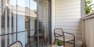 The Augusta Apartments Gallery 9