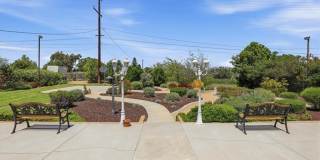 16540 Wagon Wheel Gallery 45
