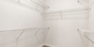 Zang Triangle Gallery 7