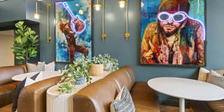 Novi at Queen Anne Gallery 32