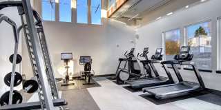 Allegro Lynwood Gallery 47