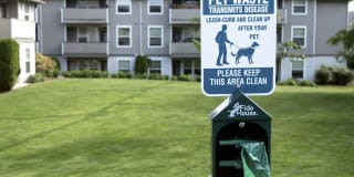 Sterling Heights Gallery 29