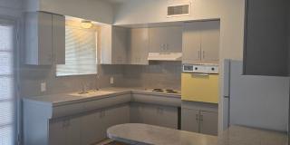 El Con Gardens Gallery 1