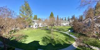 211 Shadow Dance Dr Gallery 11