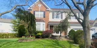 19 Hyde Park Drive Gallery 1