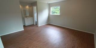 East Austin 4BR Gem on Cul-de-Sac w/ Spacious Lot & Updates Gallery 20