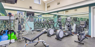 Woodland Meadow Gallery 17