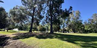 4328 Forest Oaks Drive Gallery 18