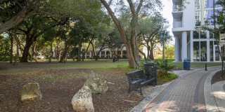 Vu New River Vu New River Gallery 101