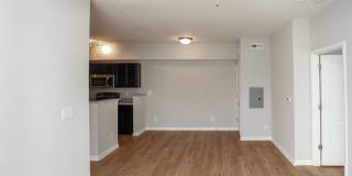 Alpine Studios Gallery 5