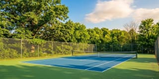 Summerlyn Place Gallery 28