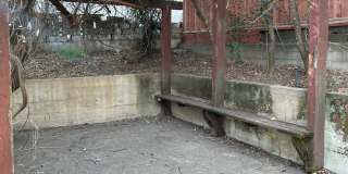 CHARMING 4 BED 2 BATH HOUSE NEAR DOWNTOWN Gallery 32