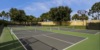 8204 Kiawah Trace Gallery 41