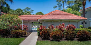 8085 Celeste Dr Gallery 15