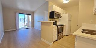 5171 Lindell Road Gallery 1