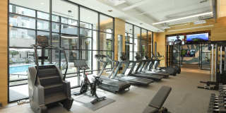 The Laureate Gallery 12