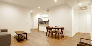 Barry Diamond Gallery 20