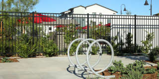 The Strand Gallery 48