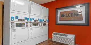 Chicago - Buffalo Grove - Deerfield Gallery 24
