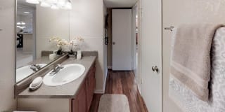 Turtle Lake Gallery 18