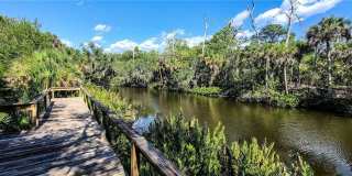 2749 ORCHID OAKS DRIVE Gallery 39