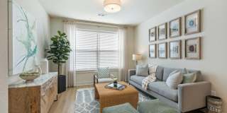 Birchway Spring Cypress Gallery 5