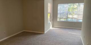 Venetian Place - 1323 Gallery 17