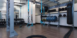 Avalon Dogpatch Gallery 30