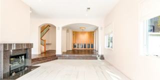 319 Orchid Gallery 4