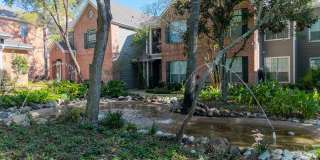 Park at Armand Bayou Gallery 25